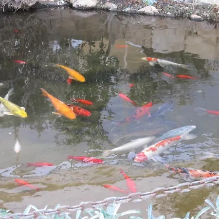 Polyxenia Isaak Luxury And Appartamento Protaras