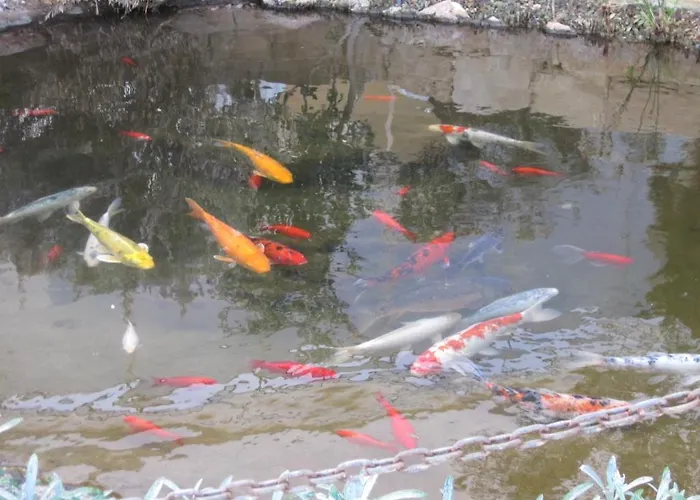 Polyxenia Isaak Luxury And Apartamento Protaras